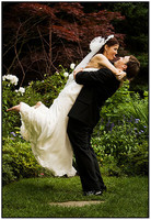 Wedding Highlights